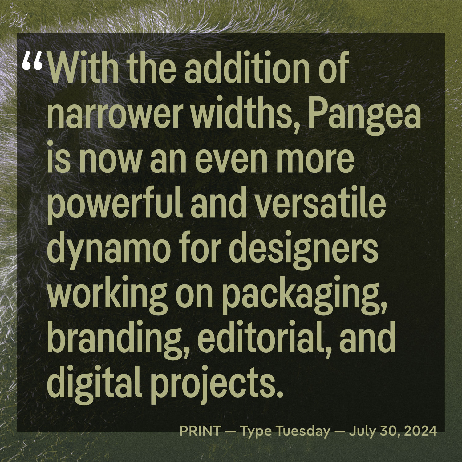 Pangea Condensed