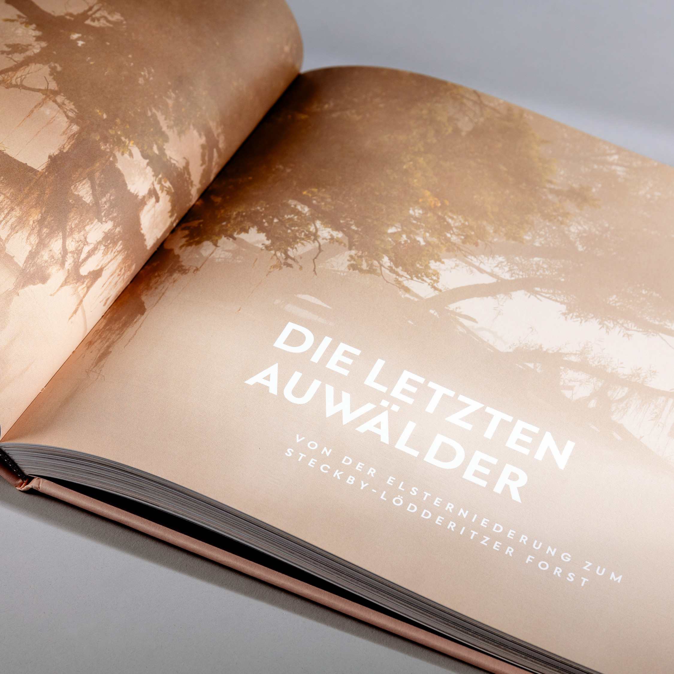Wild photos, calm typography: The photo book ‘Wilde Elbe’, set in West