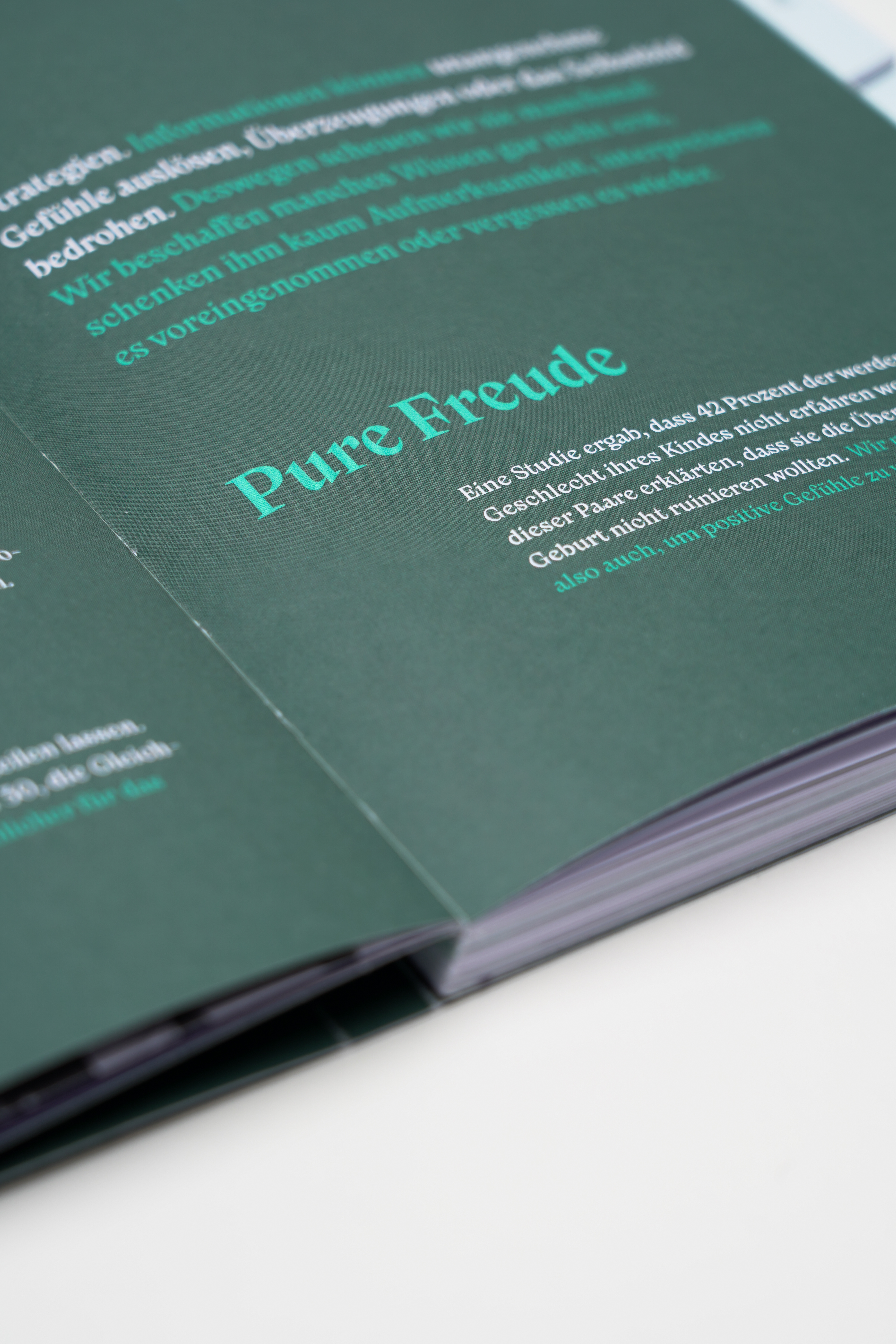 Fonts in use: The typefaces Nikolai and New Reason for the editorial design of the foundation brochure of the fictitious GRŌA foundation