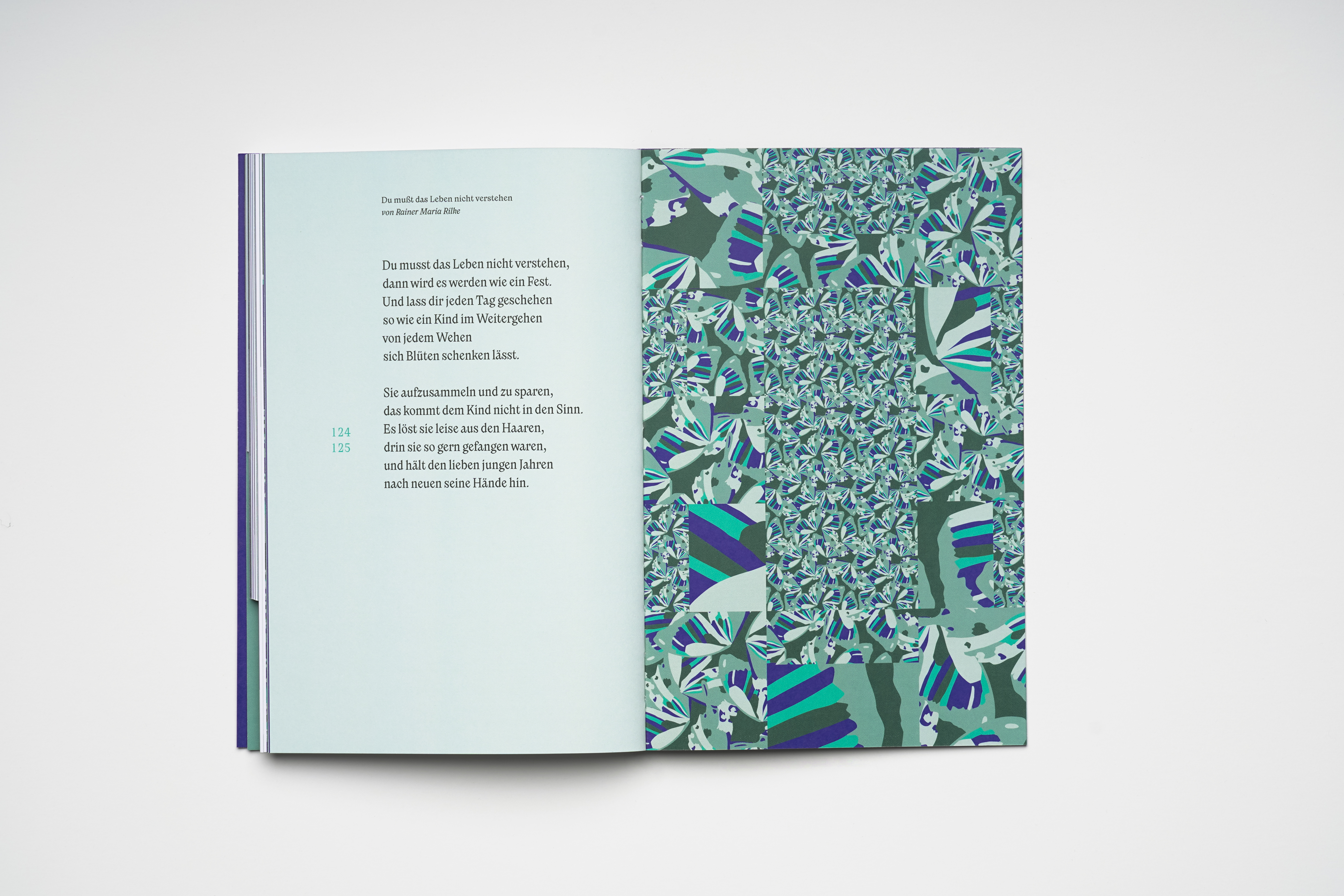 Fonts in use: The typefaces Nikolai and New Reason for the editorial design of the foundation brochure of the fictitious GRŌA foundation