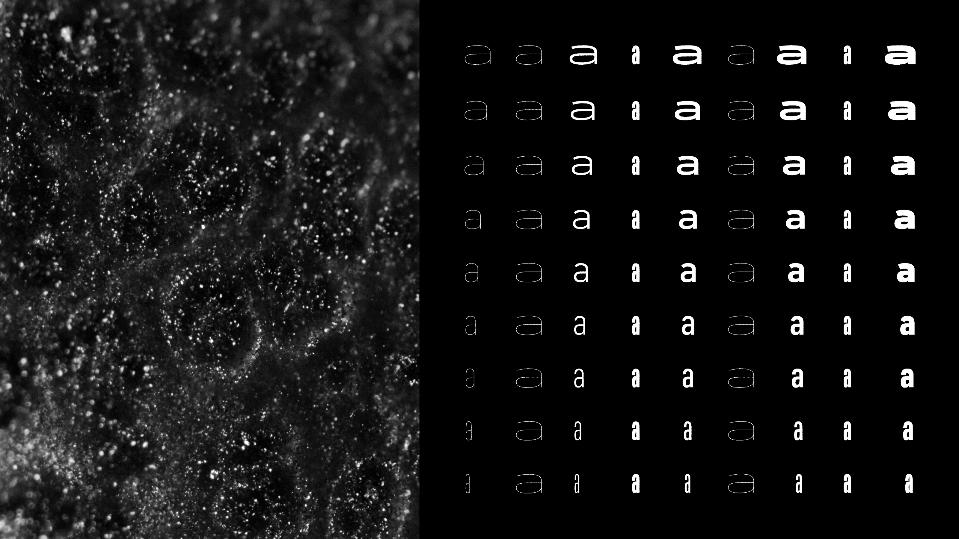 Neue DIN’s 81 static upright fonts correspond to those specified in the CSS specification.