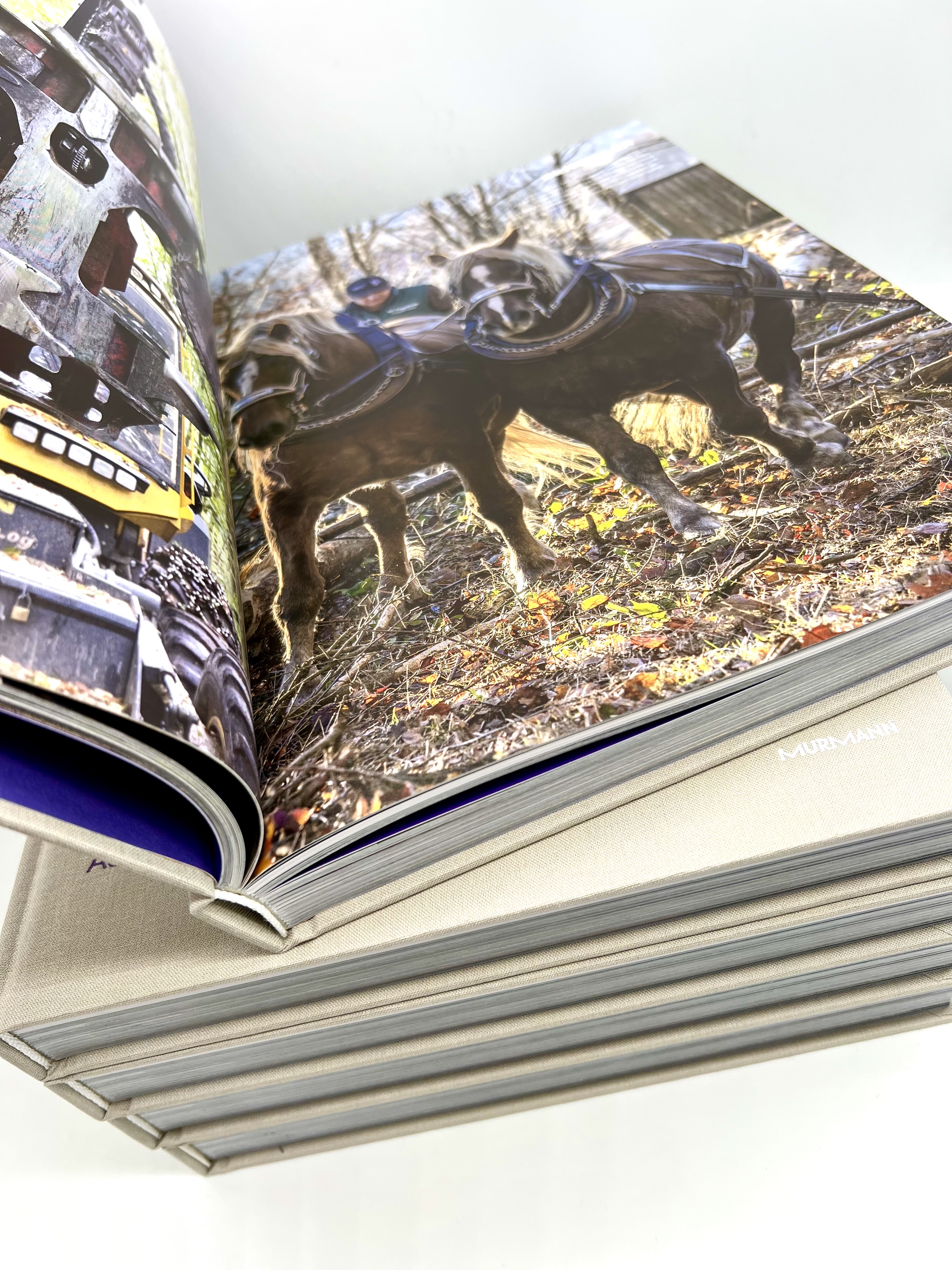 Fonts in Use: Neue DIN for the design of the photography book ‘NeuHarz’