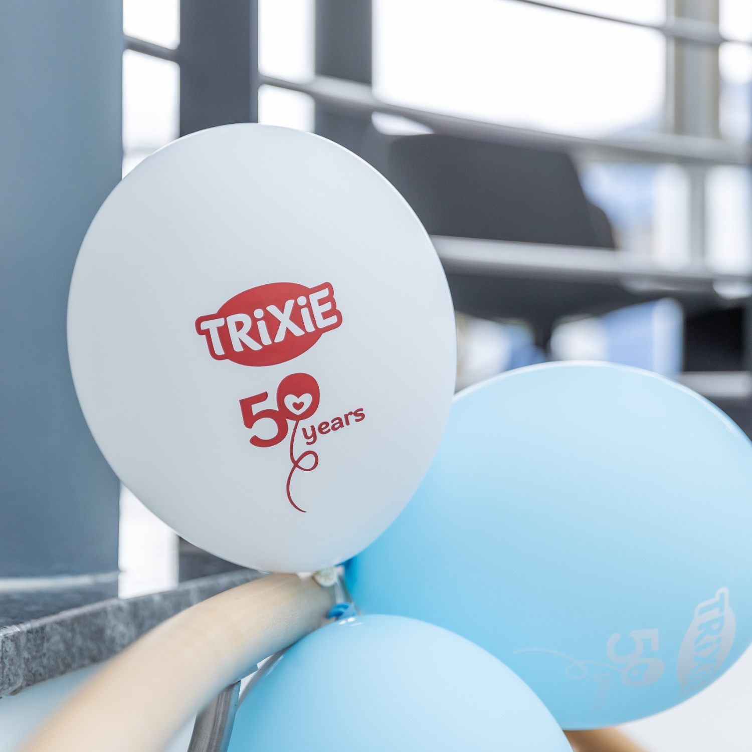 Case study: Modernization of Trixie’s logo – New logo in use
