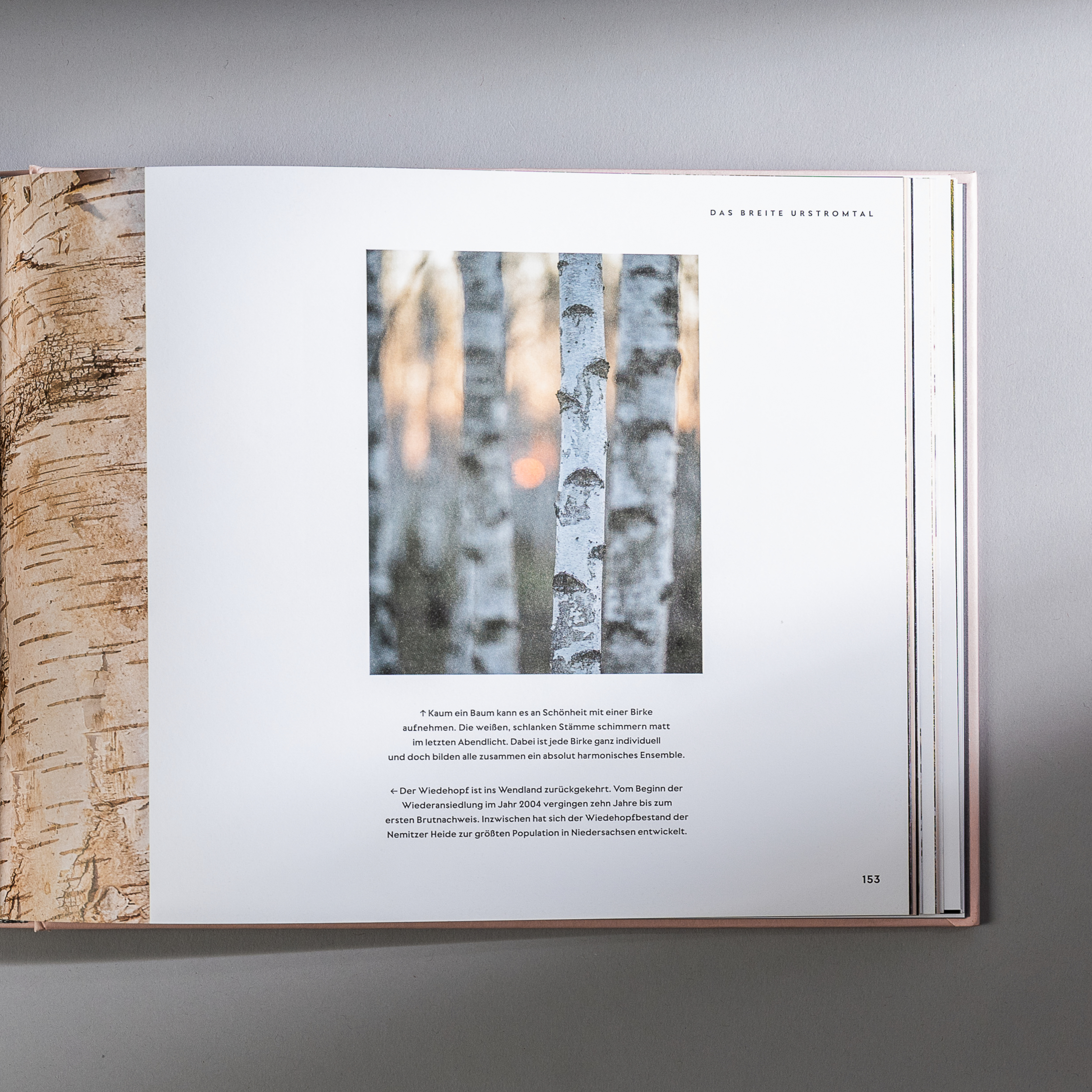 Fonts in use: The West typeface for the book ‘Wilde Elbe’