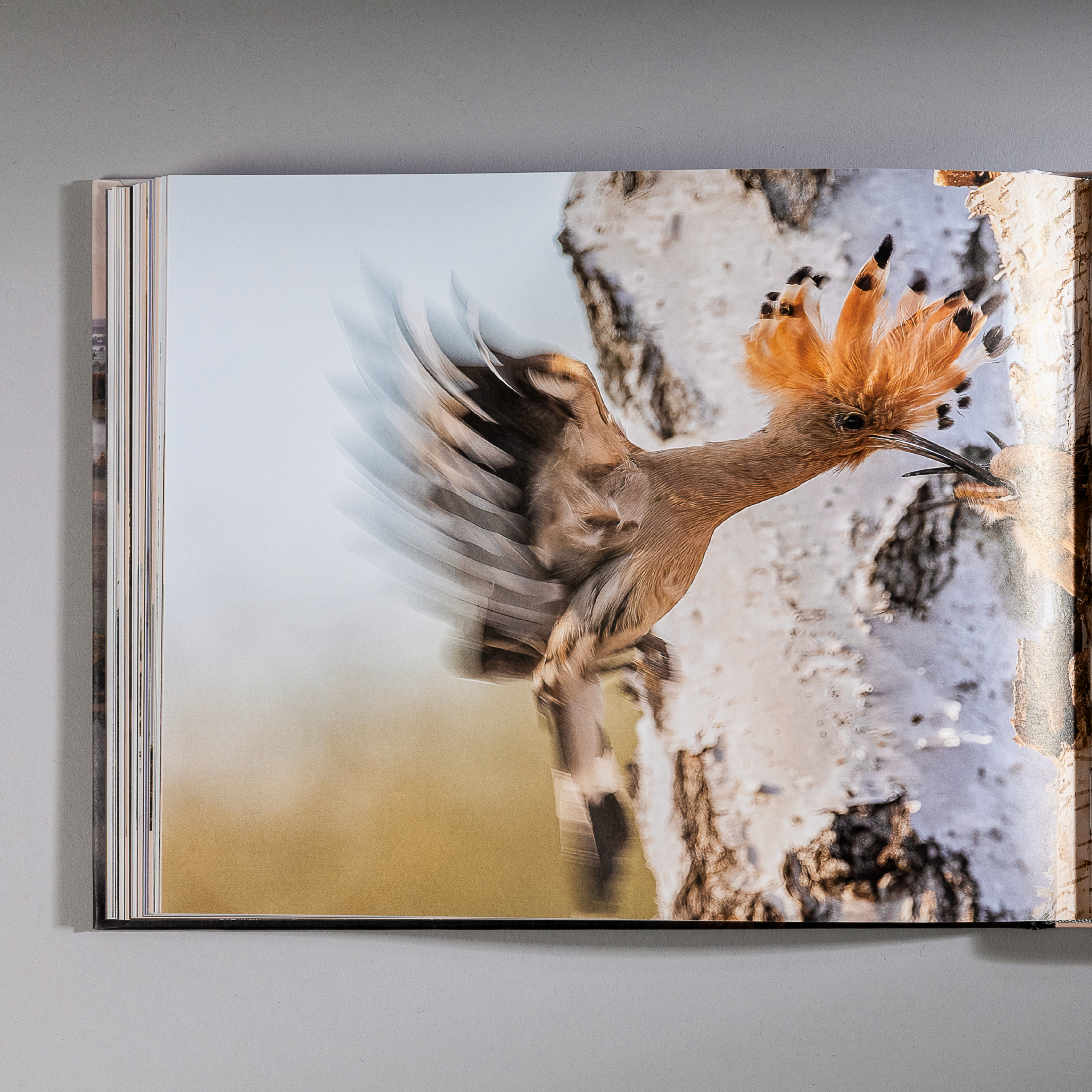 Fonts in use: The West typeface for the book ‘Wilde Elbe’