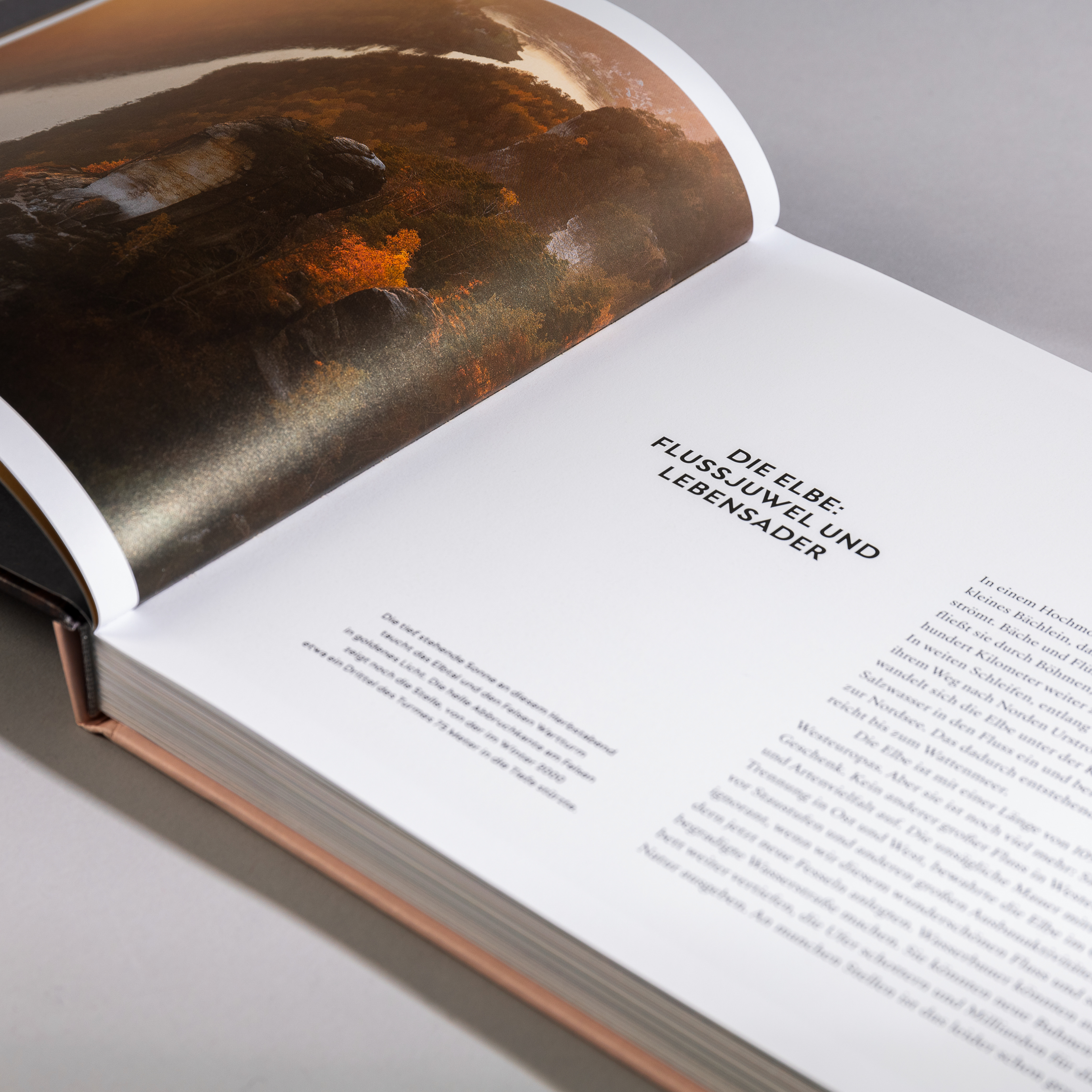 Fonts in use: The West typeface for the book ‘Wilde Elbe’