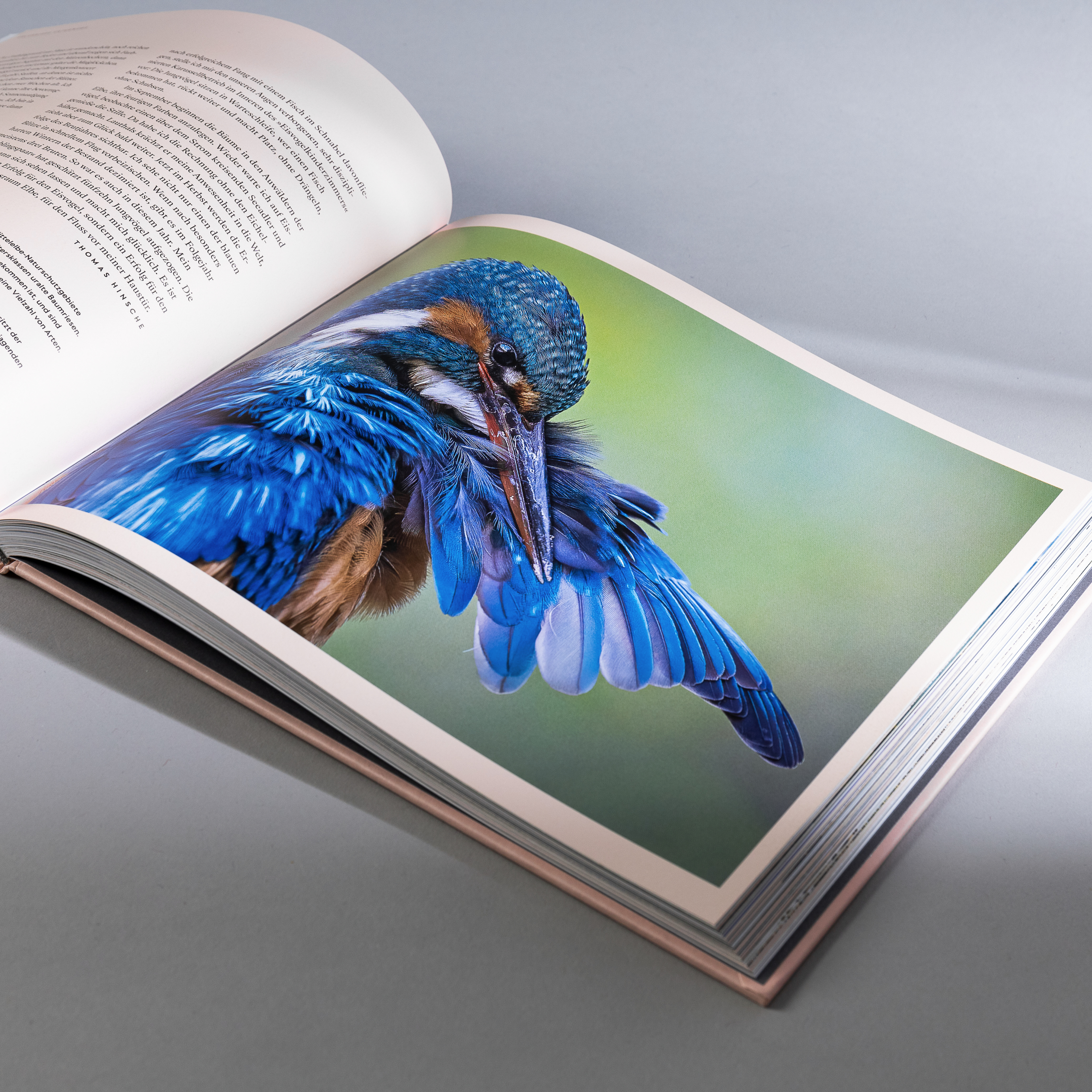 Fonts in use: The West typeface for the book ‘Wilde Elbe’